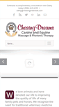 Mobile Screenshot of chasingdreamsat.com